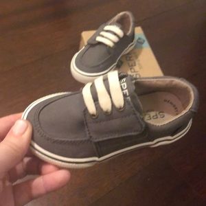 Sperry toddler boys size 6. Never worn